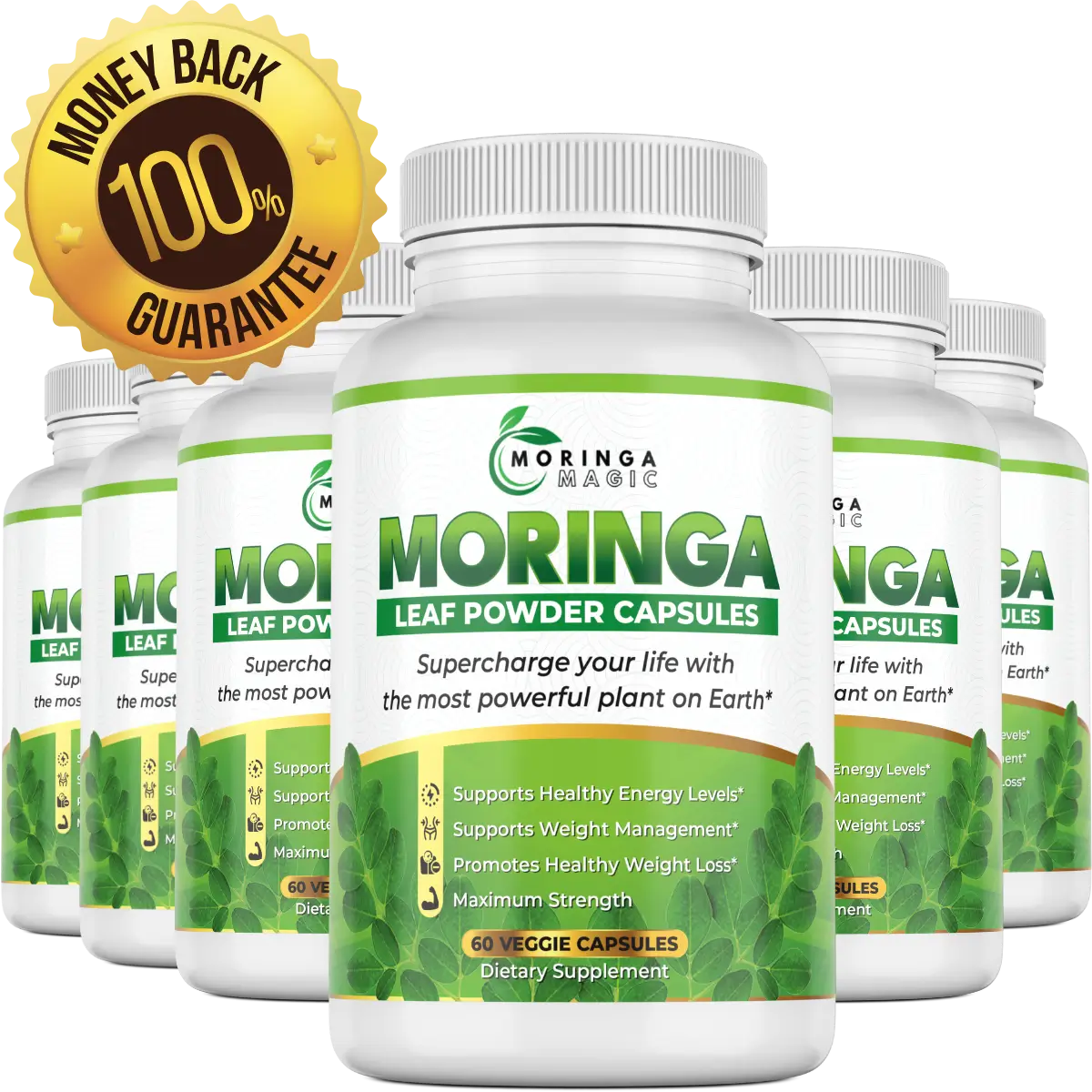 6 Bottles Moringa